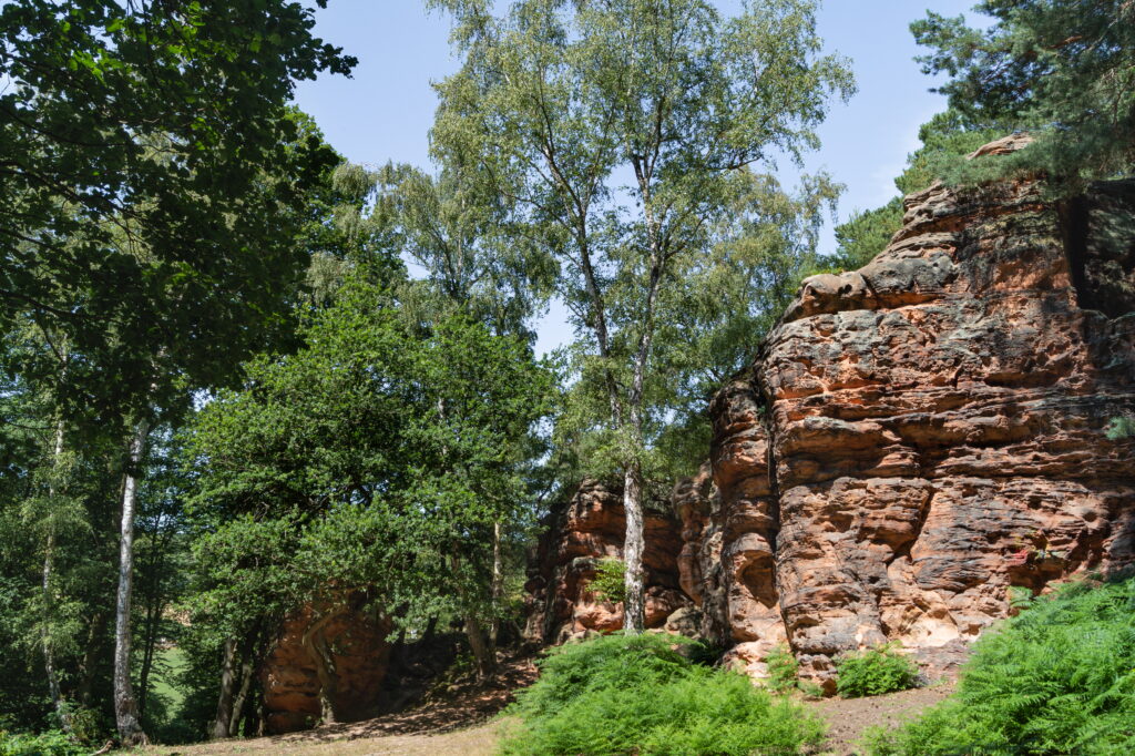 Die roten Katzensteine in der Eifel,