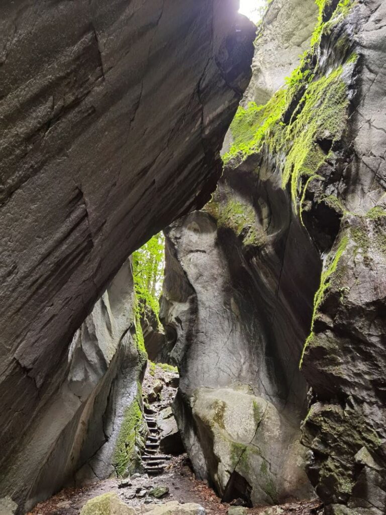 beeindruckende Felsen bei der Rappenlochschlucht und Alploch